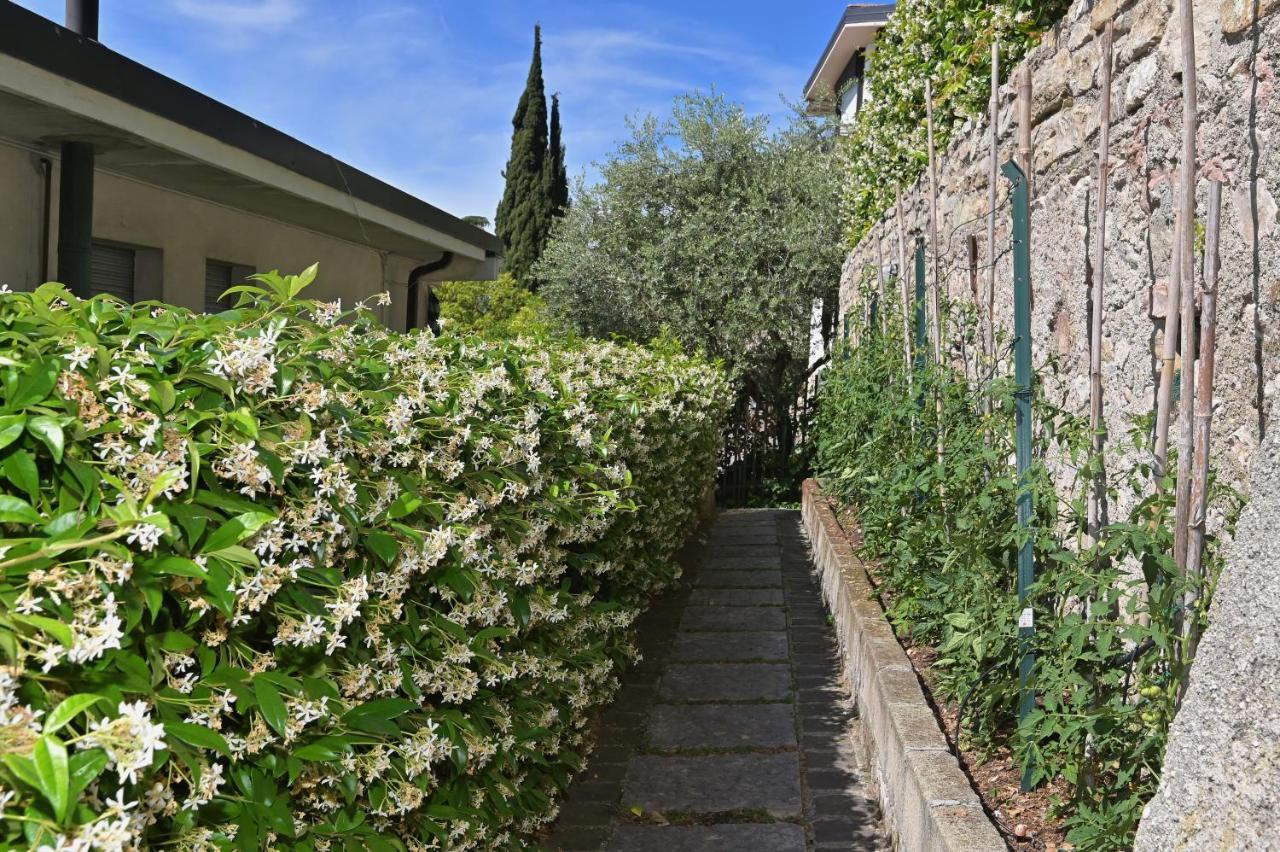 סאלו Villa Raoul מראה חיצוני תמונה