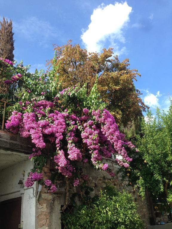 סאלו Villa Raoul מראה חיצוני תמונה